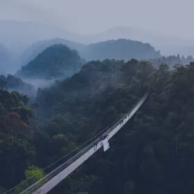 Suspension bridge